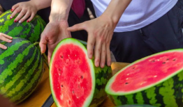 今日吃瓜事件,吃瓜群众围观娱乐圈最新瓜事